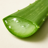 Aloe Barbadensis (Aloe Vera) Leaf Juice