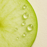 Apple Amino Acids