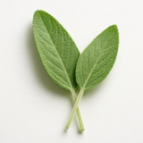 Clary Sage