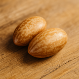 Honey Locust Seeds